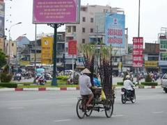 Fresh sugarcane stalks for sale; Saigon