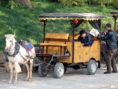 Horse carriages are available for hire; Tiger Hill