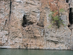 A hanging coffin is visible in the small cave to the left of the tree