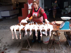 These ducks and chickens have already been plucked and boiled, fresh for the taking