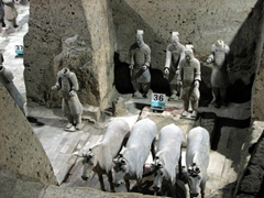 Detail of the headquarters's war chariot entourage; Pit 3