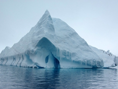 We enjoyed zodiac cruising and checking out the wonderful icebergs around Brown Bluff
