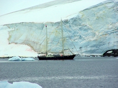A small yacht is dominated by the huge snowy banks of Paradise Bay