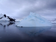 Iceberg in Paradise Harbor