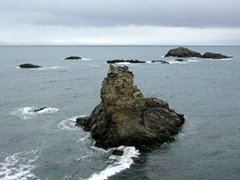 A view of Hannah Point's rugged beachfront