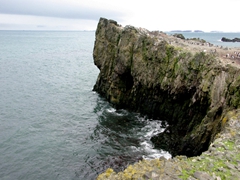 Spectacular cliff face of Hannah Point; Livingston Island