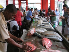 Fish market, Victoria