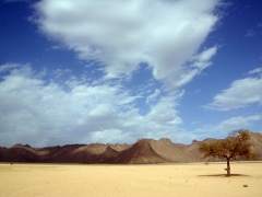 Beautiful desert scenery such as this image were non stop on the ride to Ihrir
