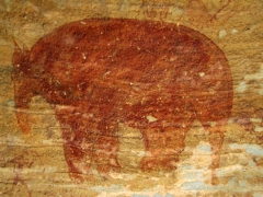 Ant eater (or possibly a bear) painting; Jabbaren
