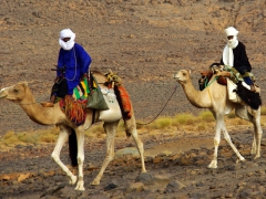 Tuaregs riding their camels; outskirts of Ihrir

