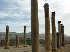 Columns in the Christian Quarter; Djemila
