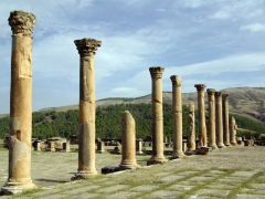 Corinthian columns lining the old Forum of beautiful Djemila
