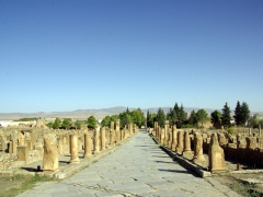 View of Timgad's cardo maximus (note: The Romans adhered to a strict planning code and as a result, Timgad is a fine example of a military colony built in a well laid out manner)
