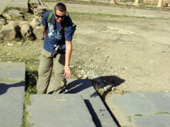 Robby playing a Roman game (he's trying to get as many of his pebbles to land inside the divots); Timgad
