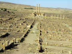 All that remains of the capitol are two solitary columns from the Temple of Jupiter, a site of pagan worship; Timgad

