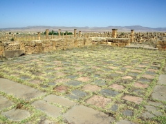 A large, two toned checkerboard for games in the center of Sertius Market; Timgad
