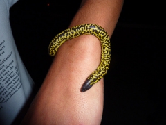 A boisterous teenage proudly shows us his "pet" which looks like a cross between a worm and a snake; Constantine
