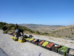 Fruit and vegetable vendors; side of road enroute to Ghoufi
