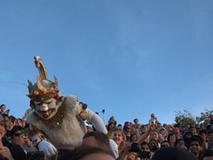 Monkey king in the crowd inspecting visitors for fleas!
