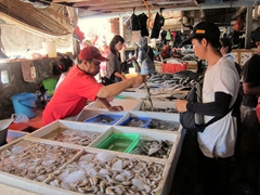 Anh Long buying shrimp; Jimbaran Fish Market