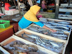 Jimbaran fish market conducts brisk business throughout the day. Simply buy what you want and have it grilled for you by a nearby restaurant!