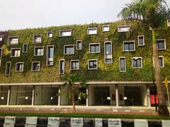 Vertical garden on this eco friendly building