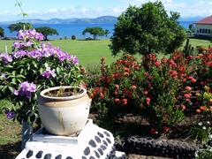Beautiful garden at the Wairiki Mission