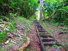 Staircase leading up to the second waterfall