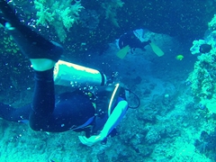 Diving through a tunnel at the Chimneys dive spot; Namena Marine Reserve
