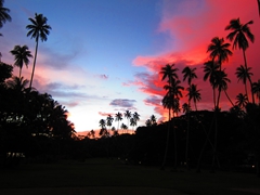 A brilliant sunset; Koro Sun Resort