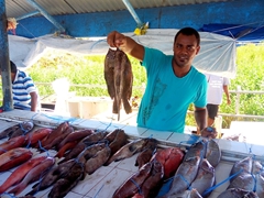 Holding up a bundle of fish for sale; Bailey Bridge Fish Market