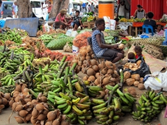 Coconut and plantain vendor; Port Vila market