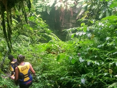Further into the jungle we go until we reach a massive cave measuring 20 meters wide and 50 meters high. It takes 30 minutes to scramble in the dark through the bat infested cave