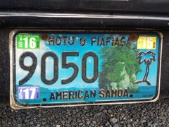 Flowerpot rock on an American Samoa license plate