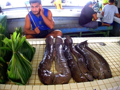 Eels for sale; Fish Market in Apia