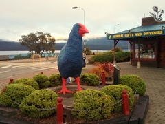 A takahe statue in the center of Te Anau