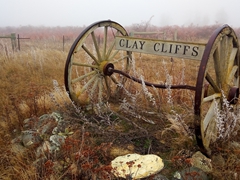 It was a foggy morning when we visited the Clay Cliffs
