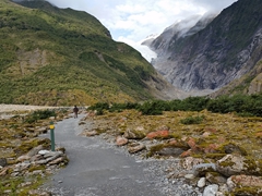 Its a 90 minute round trip hike to Franz Josef glacier