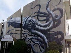 Giant squid artwork; Nelson