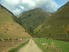 Drive out to Rawhiti Cave