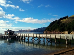 French Pass jetty