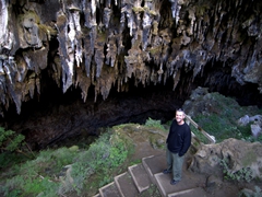 Robby impressed with the phytokarst features of Rawhiti Cave