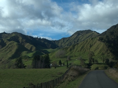 Driving the picturesque Whanganui River Region