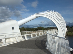 Te Rewa Rewa Bridge, designed to resemble a breaking wave/whale skeleton; New Plymouth