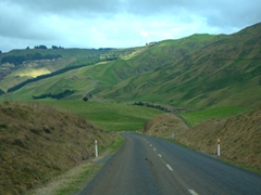 Mountainous road leading to Rangiwahia