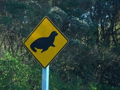 Yield to seals sign