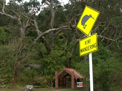 Kiwi wandering sign; East Cape Coastal Route