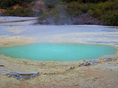 Oyster pool; Wai-O-Tapu Thermal Park