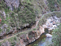 Windows walk; Karangahake gorge