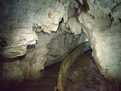 Ruakuri Cave